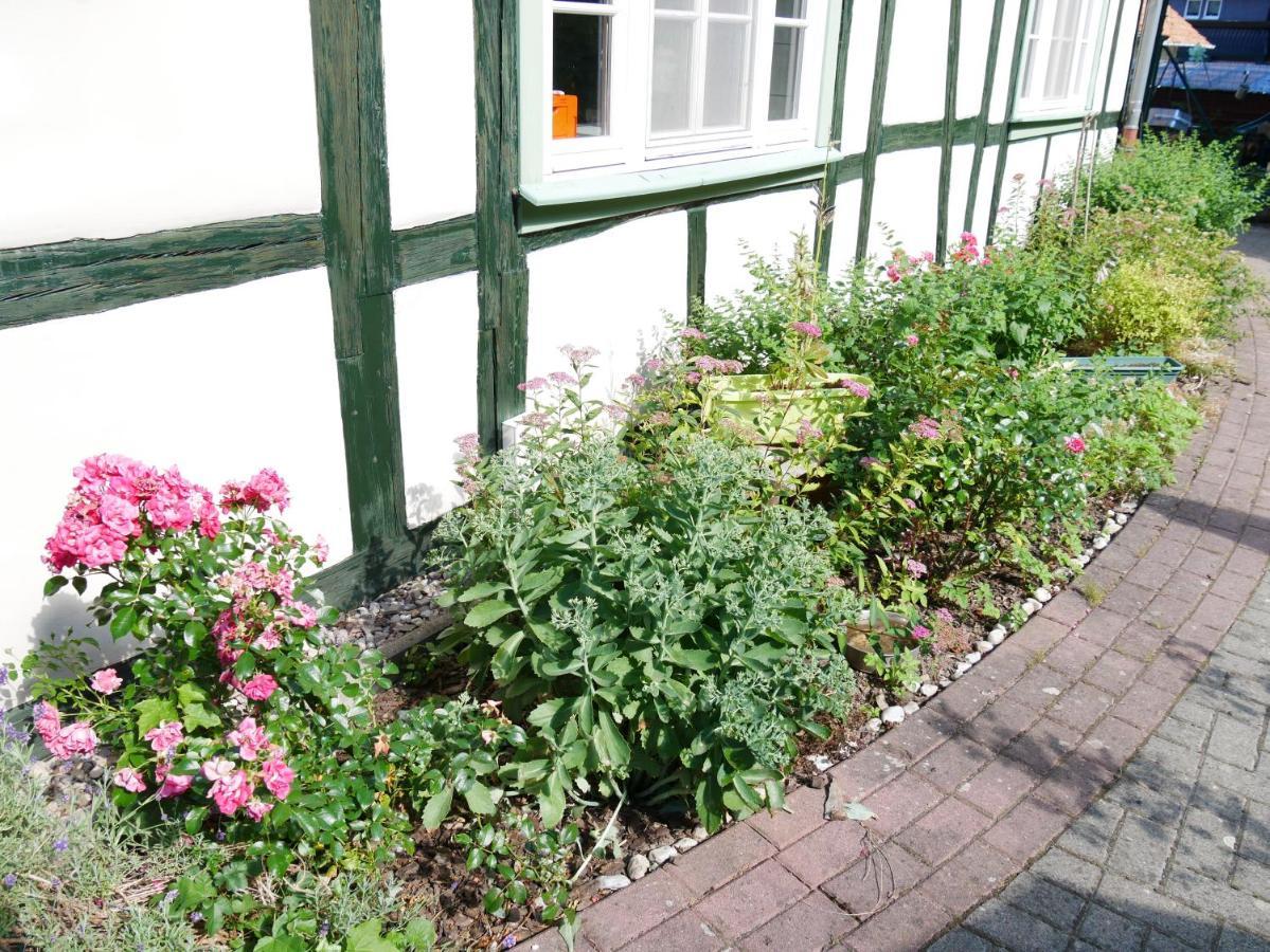Schloss Goldacker - Das Schloss Der Gesundheit Weberstedt 外观 照片